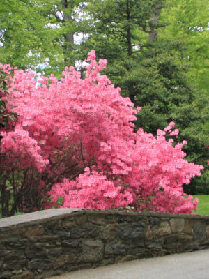ir-110511_12-52_2654P.jpg
