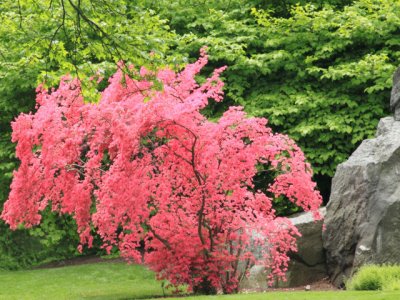 ir-110511_12-53_2655L.jpg