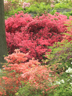 ir-110511_12-54_2658P.jpg