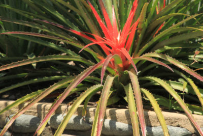 ir-110525__3374_17-06.jpg