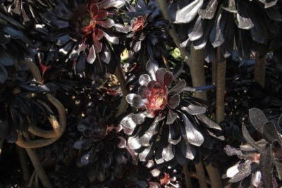 ir-110525__3378_17-08.jpg
