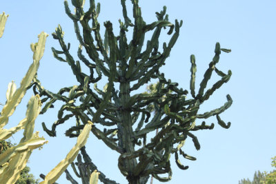 ir-110525__3388_17-12.jpg