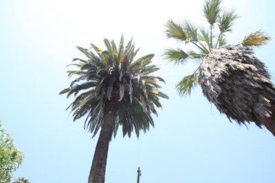ir-110525__3390_17-14.jpg