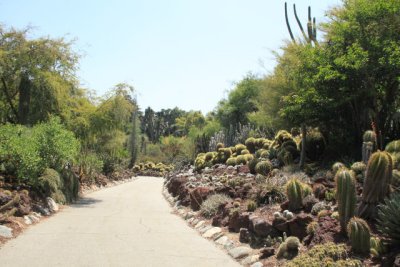 ir-110525__3425_17-26.jpg