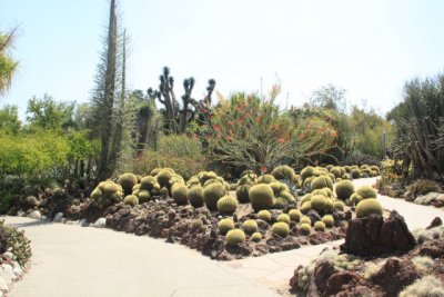 ir-110525__3430_17-29.jpg