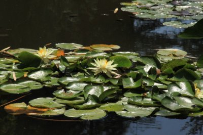 ir-110525__3450_17-48.jpg