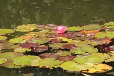 ir-110525__3451_17-48.jpg