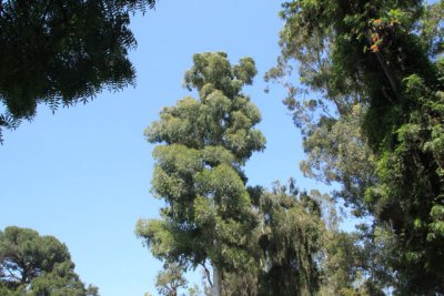 ir-110525__3468_18-11.jpg