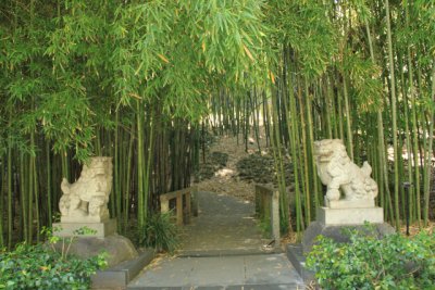 ir-110525__3469_18-11.jpg