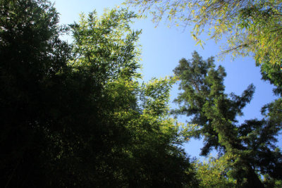 ir-110525__3470_18-12.jpg