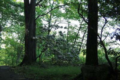 ir-110615__4072_16-21.jpg