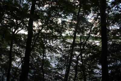 ir-110627__4757_15-39.jpg