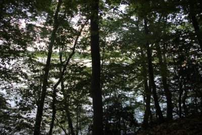 ir-110627__4758_15-39.jpg