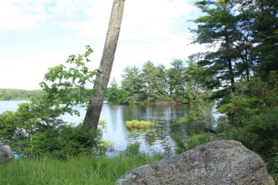 ir-110629__4938_16-51.jpg