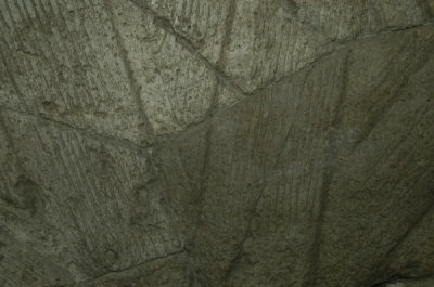 ir-021027_0751.jpg