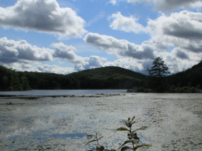 ir-110816__5906_15-56L.jpg