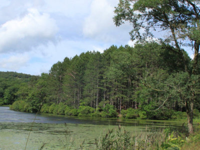 ir-110816__5914_16-08L.jpg