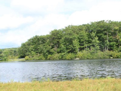 ir-110816__5917_16-11L.jpg