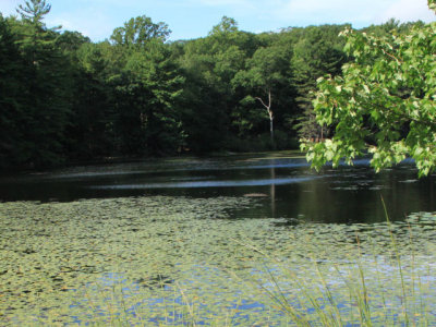 ir-110816__5931_16-52L.jpg