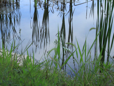 ir-110816__5946_17-12L.jpg
