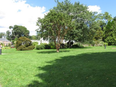 ir-110823__0358_01-55.jpg