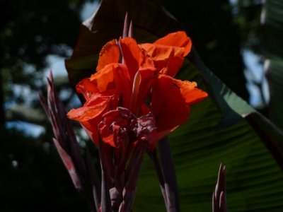 ir-P1020723.jpg