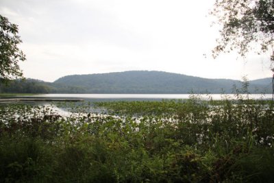 ir-110915__6153_11-05.jpg