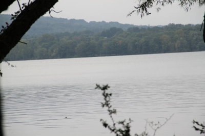 ir-110915__6159_11-16.jpg