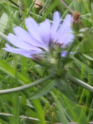 ir-110915__6174_11-42P.jpg