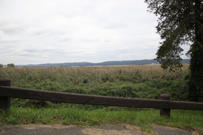ir-111003__6464_13-19.jpg