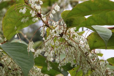 ir-111003__6475_13-55.jpg