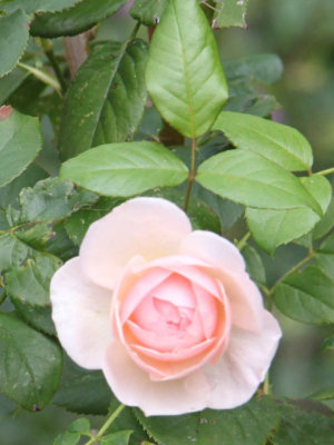 ir-111003__6482_14-05P.jpg