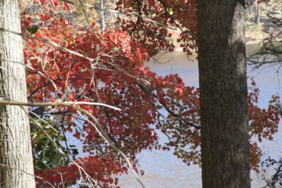 ir-111025__7133_12-22.jpg