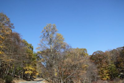 ir-111025__7145_12-38.jpg
