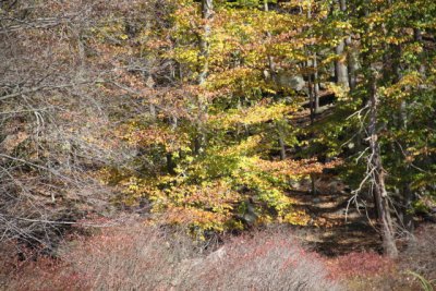 ir-111025__7146_12-39.jpg