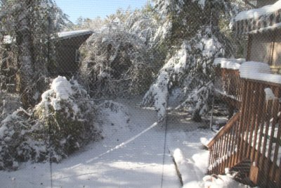 ir-111030__7216_09-56.jpg