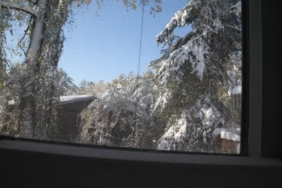 ir-111030__7217_09-56.jpg