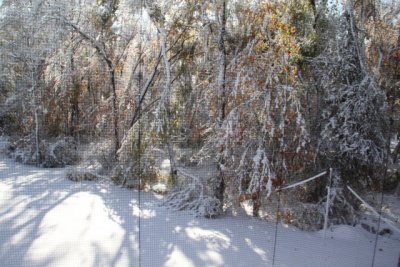 ir-111030__7219_09-59.jpg