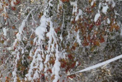 ir-111030__7221_09-59.jpg