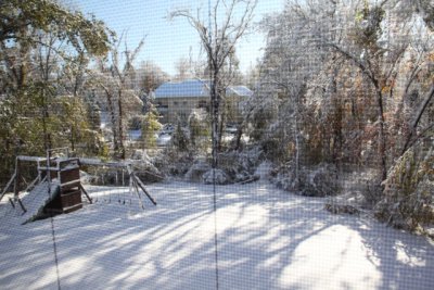 ir-111030__7222_10-00.jpg