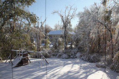 ir-111030__7223_10-00.jpg
