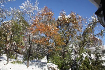 ir-111030__7224_10-03.jpg