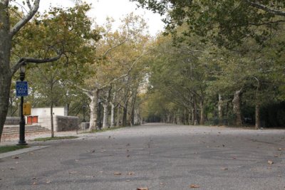 ir-111103__7300_15-37.jpg