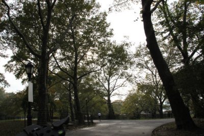 ir-111103__7302_15-44.jpg
