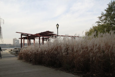 ir-111103__7318_16-10.jpg