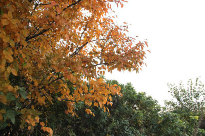 ir-111103__7320_16-11.jpg
