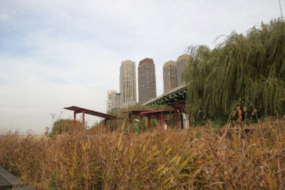 ir-111103__7321_16-12.jpg