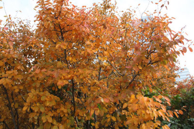 ir-111103__7324_16-14.jpg
