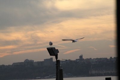 ir-111103__7332_16-51.jpg