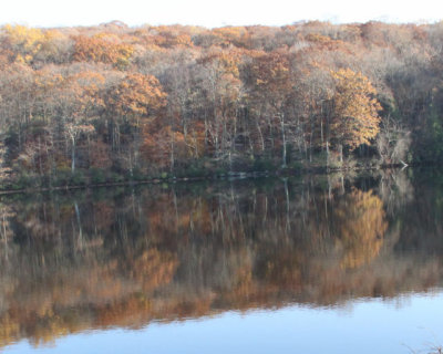 ir-111108__7353_16-15L.jpg
